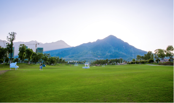 2019.6.24_紫金山_软微：千亩湖山果岭 龙岩的城市名片 （配图）89.png