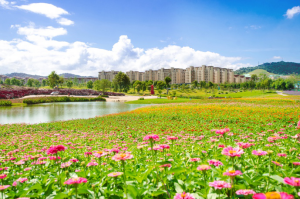 2019.8.28_紫金山_软文：又是一年开学季，这所学校为何这么火！3.0(1)(1)391.png