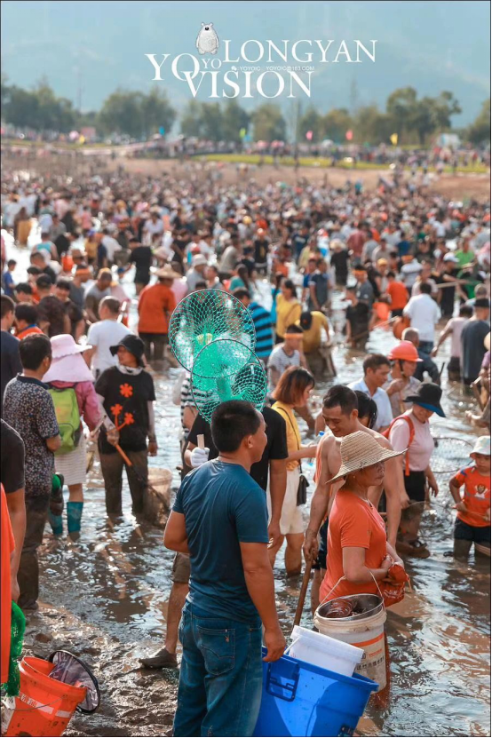 昨天，你的朋友圈被鱼刷屏了吗？docx7325.png